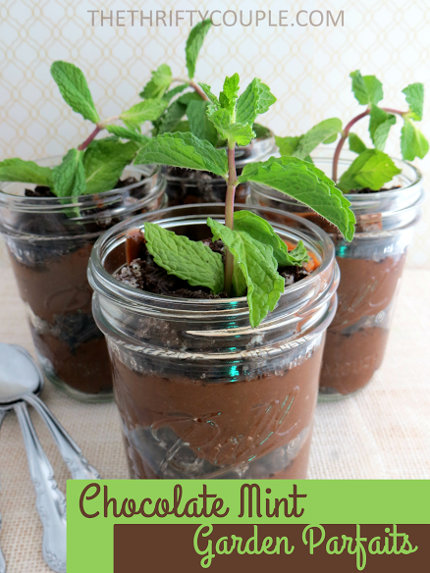 Chocolate Mint Garden Parfaits Dessert Recipe (Dessert Made To Look ...