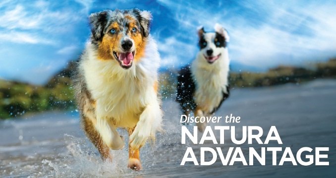 natura advantage pet food coupon