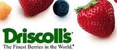 driscoll's berries logo