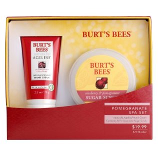 burts bees pomegranate spa set