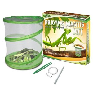 praying mantis kit