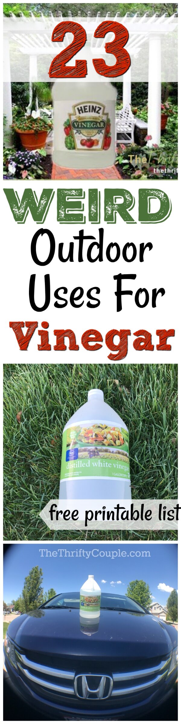 using vinegar outdoors for garden, yard, car and more