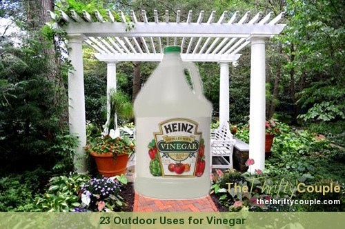 23 Outdoor Uses for Vinegar