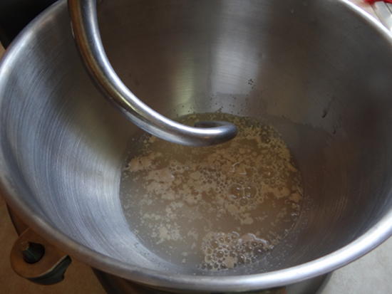 yeast-water-mixer-60minrolls1