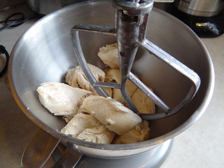 chicken-in-kitchenaid-sm