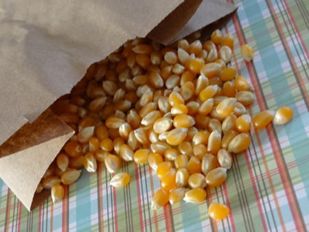 popcorn-kernals-in-bag-sm