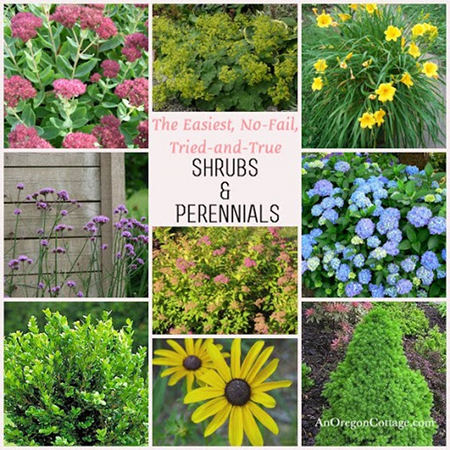 guide-to-shrubs-sm