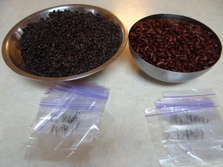 freeze black beans and pinto beans
