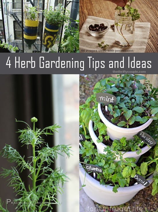 4-herb-gardening-tips-and-ideas