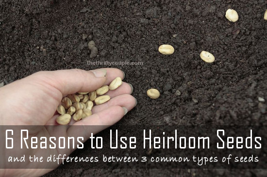 6-reasons-to-use-heirloom-seeds