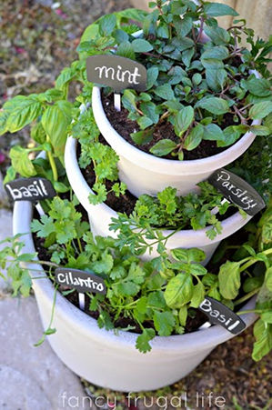 stacked-herb-garden-sm