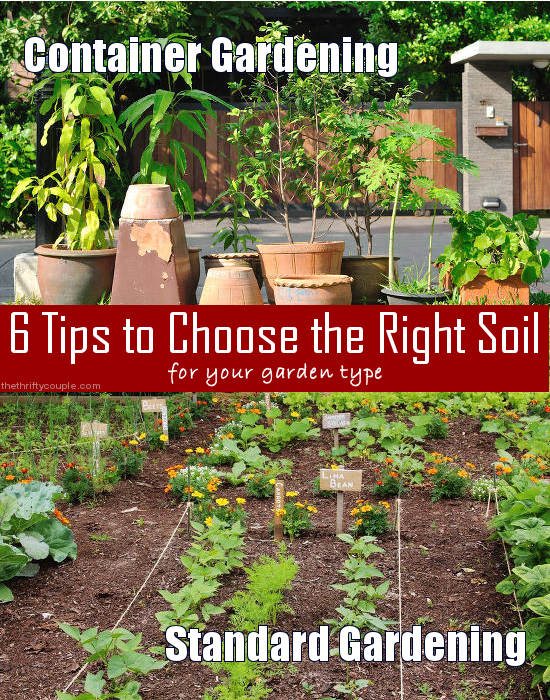 6-tips-to-choose-the-right-soil-for-your-garden-type