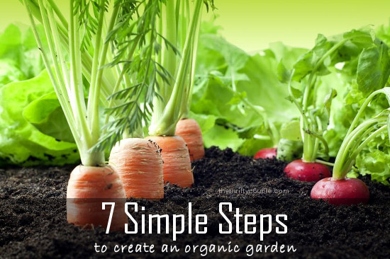 7-simple-steps-to-create-an-organic-garden