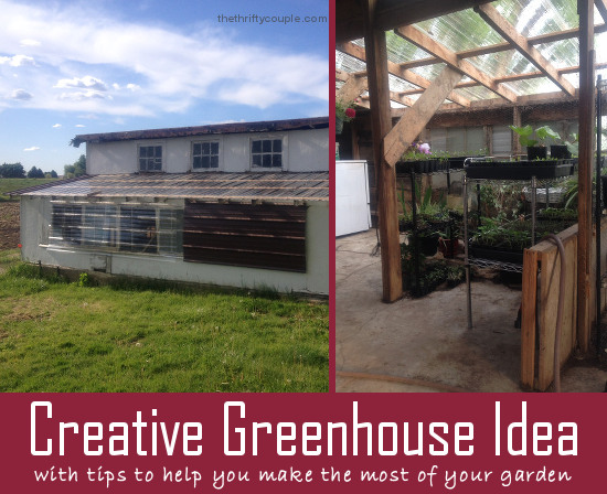 creative-greenhouse-idea-with-garden-tips