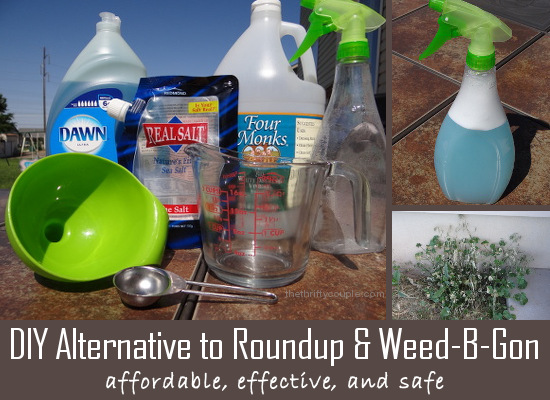 Alternative for Weed-B-Gone or RoundUp