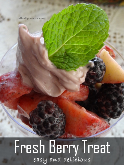 fresh-berry-treat-easy-and-delicious