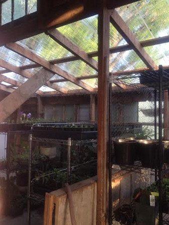 greenhouse-4-sm