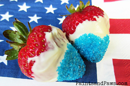 05 - Paints and Paws - Red White and Blue Strawberries-sm