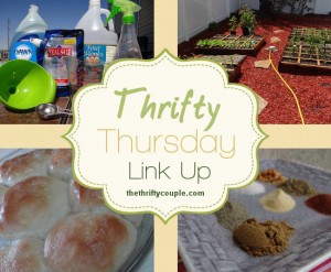 thrifty-thursday-link-up