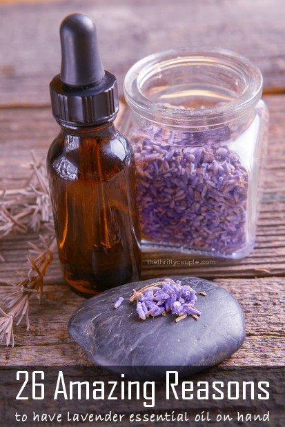 26-amazing-reaons-to-have-lavender-essential-oil-on-hand