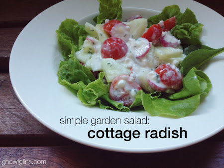 Cottage Radish Salad GNOWFGLINS sm