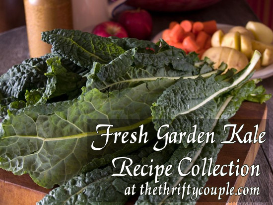 fresh-garden-kale-recipe-collection