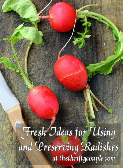 fresh-ideas-for-using-and-preserving-radishes
