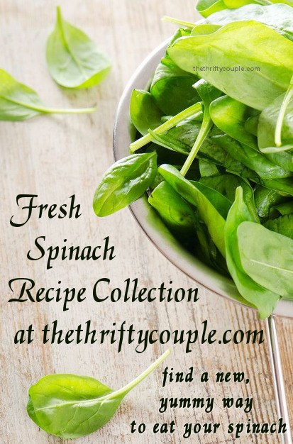fresh-spinach-recipe-collection