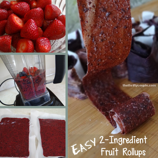 easy-2-ingredient-fruit-rollups