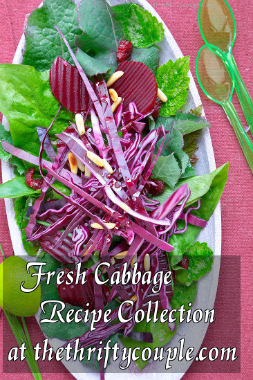 fresh-cabbage-recipe-collection