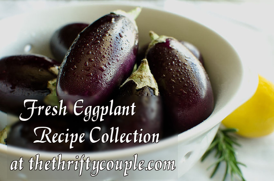 fresh-eggplant-recipe-collection