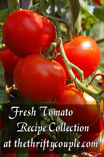 fresh-tomato-recipe-collection