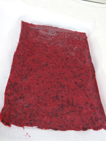 spreading-fruit-leather-in-pan-sm