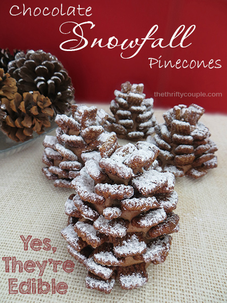 Christmas Treats : Edible Pine Cones - Chopstick Chronicles
