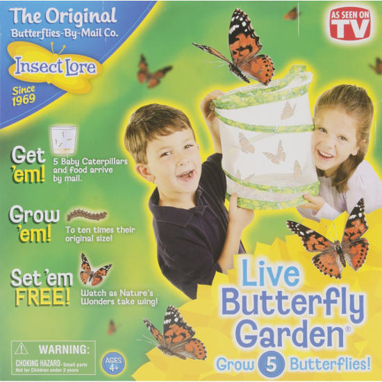 insect-lore-butterfly-kit-sm