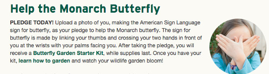 monarch-butterfly-free-garden