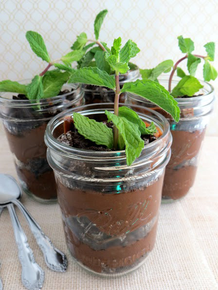 MintChocolatePlantParfaits