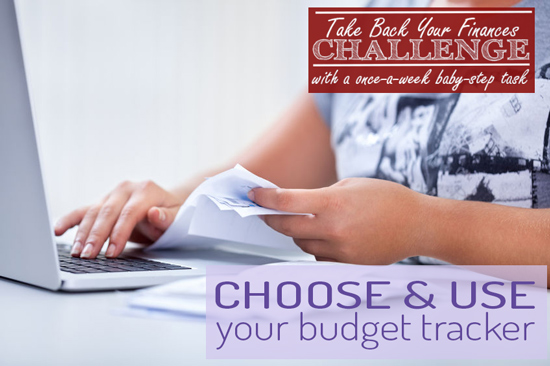 choose-and-use-your-budget-tracker