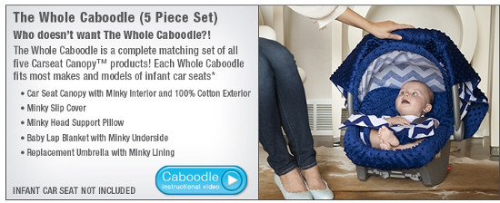 carseat-canopy-whole-caboodle