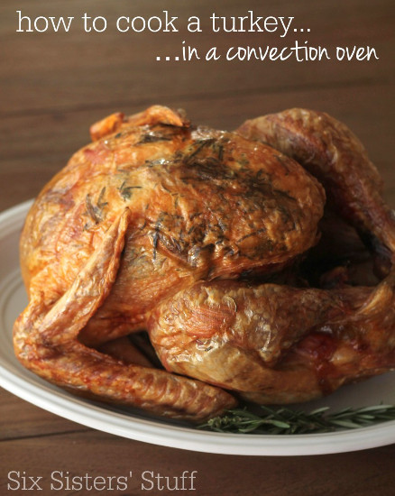 how-to-cook-a-turkey-in-a-convection-oven-recipe