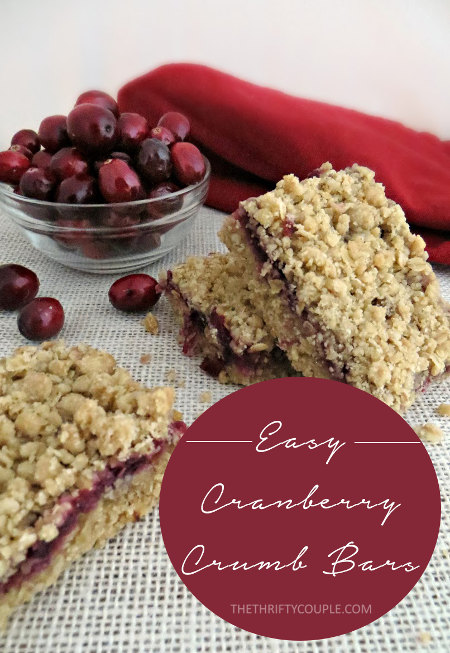 Cranberry-Crumb-Bars-oats