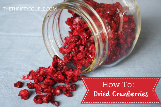 how-to-make-dried-cranberries