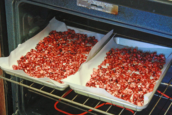 putting-cranberries-in-oven-to-dry