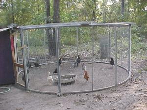 double-trampoline-chicken-run