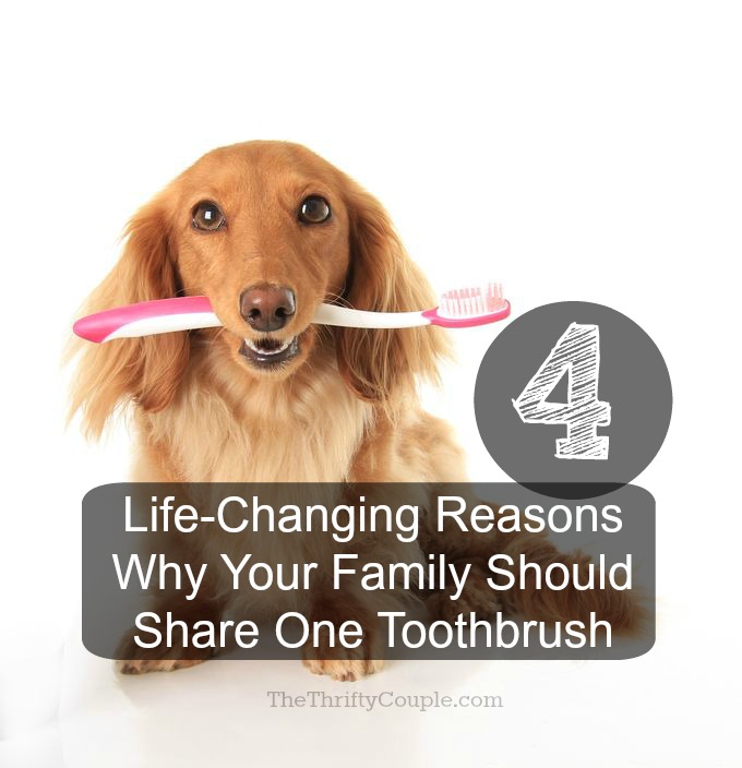 family-share-one-toothbrush-dog