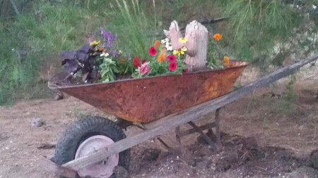 reusing-an-old-wheelbarrow-plants-diy-idea