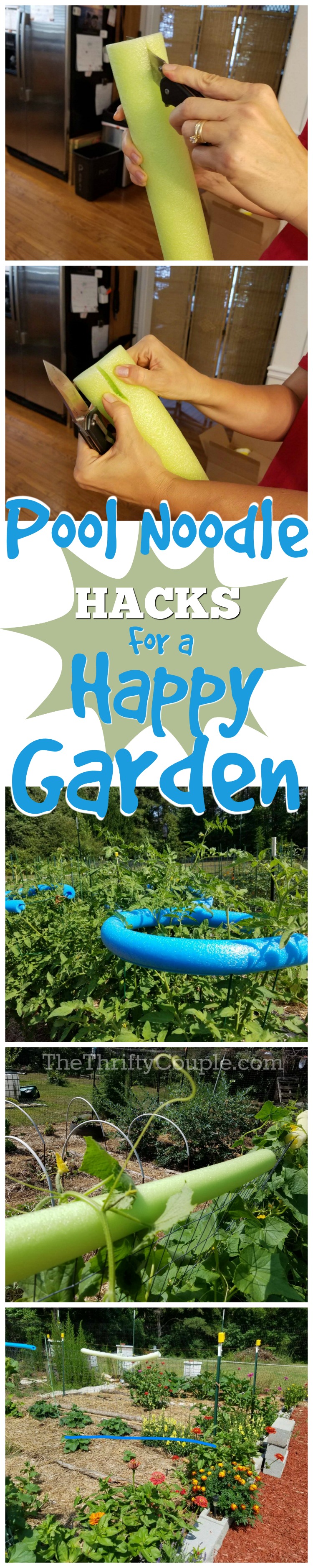 pool-noodle-hacks-for-a-happy-garden-ideas