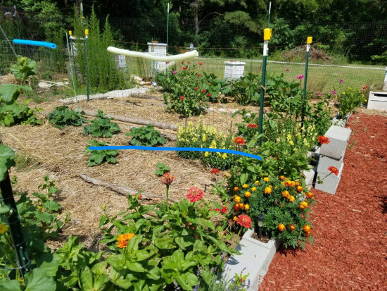 pool-noodles-in-garden-hacks-for-gardening