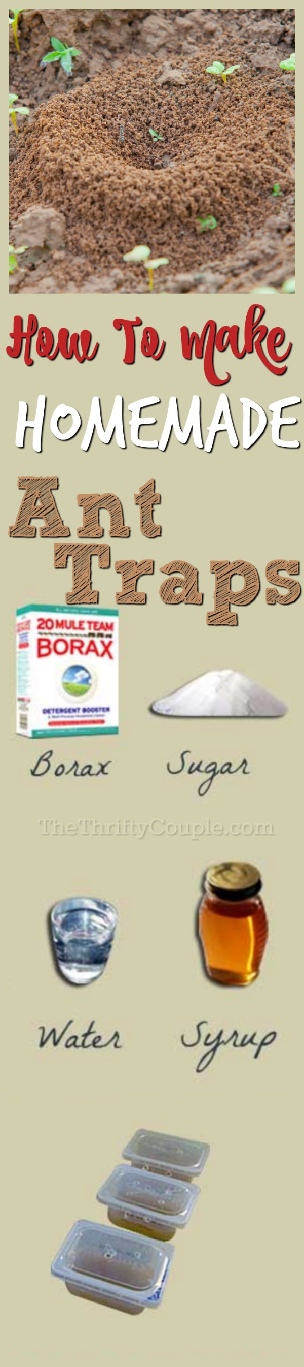 how-to-make-homemade-ant-traps