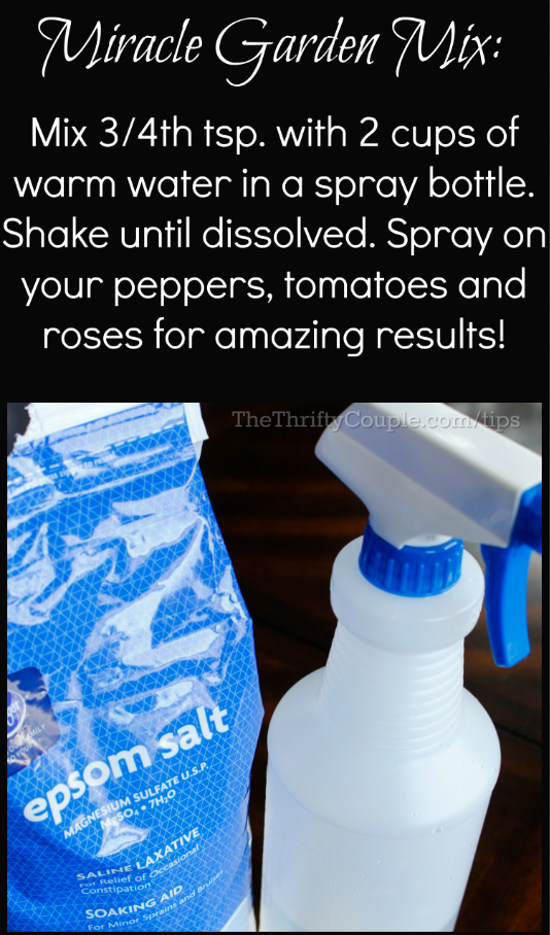 miracle-mix-garden-spray-recipe-idea